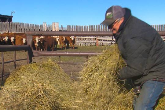 多伦多议员在性侵犯审判中从国际足联委员会辞职
